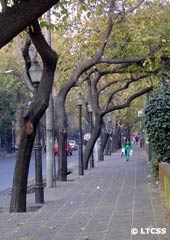 City streets