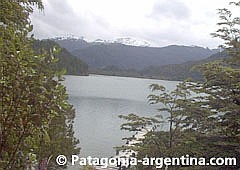 sector del Parque Nacional Los Alerces que se ver�a afectado por la contaminaci�n.