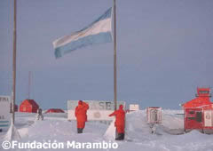 Bandera argentina en la Base Marambio