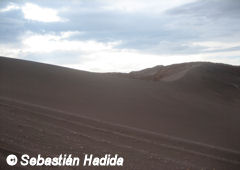 The dryness of the desert