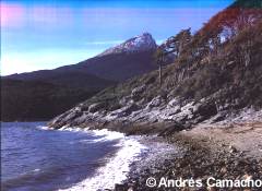 Bah&iacute;a Ensenada, Parque Nacional Tierra del Fuego