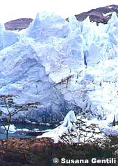 Glaciar Perito Moreno, PATAGONIA ARGENTINA 