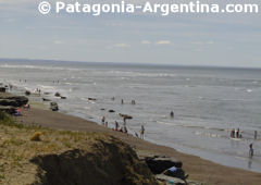 Caleta Olivia's beaches