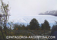 ¡Haga click sobre la foto para enviarla como PataPostal!