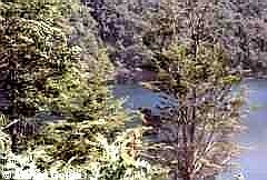 Lago Escondido
