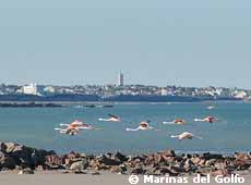 El Sótano Beach. Faraway, the port. 