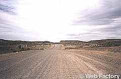 The road to Punta Tombo