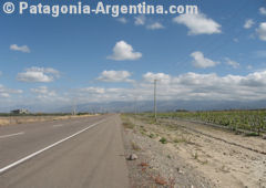 Camino Valle de Uco in Mendoza