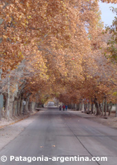 Wine roads
