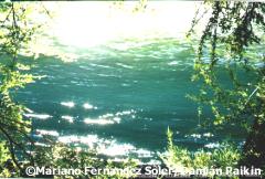 R&iacute;o Arrayanes