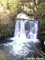 Salto Petiso