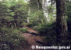 Sendero a la cascada Inacayal