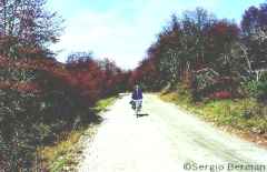 En bici por los Siete Lagos