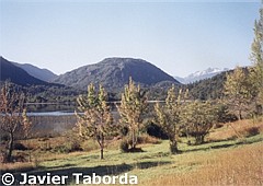 Lago Verde