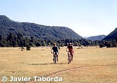 Pampas en Llanada Grande