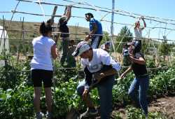 Actividades agrícolas en familia