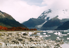 Desprendimientos de Glaciar sobre el Lago Onelli