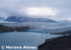 Panoramic View of Upsala Glacier