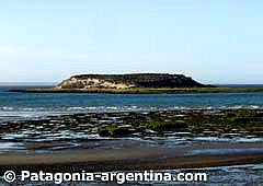 Isla de los Pájaros (Birds' Island)