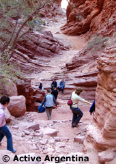 The Devil Gorge the way to Cafayate