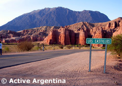 The formations of the Quebrada de las Conchas, the way to Cafayate