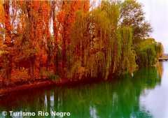 Acequia en Alto Valle de Río Negro, PATAGONIA ARGENTINA 