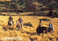 Cabalgata en Bariloche