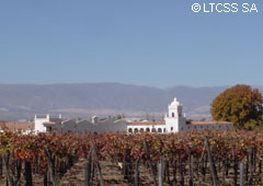 Bodega El Esteco - Cafayate - Salta