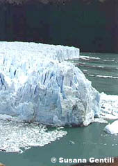 Glaciar Perito Moreno, PATAGONIA ARGENTINA 