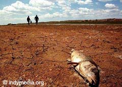 The droughts provoque food shortage 