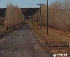 Chacra en la zona vitivinícola de Neuquén.