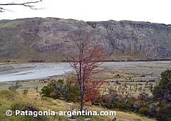 Río Las Vueltas - Chaltén