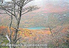 View of Del Desierto Lake