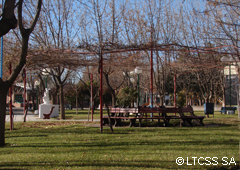 Plaza en San Patricio del Chañar.