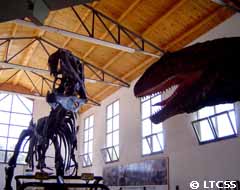 Esqueletos de dinosaurios en el Museo Municipal Ernesto Bachmann de Villa El Chocón