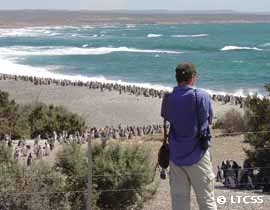 Punta Tombo, un lugar privilegiado para contemplar la naturaleza.