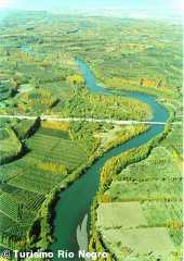 El Alto Valle del Río Negro y sus cultivos.