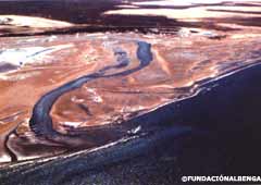 Vista aérea de Caleta de los Loros