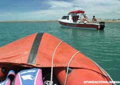 Barcos de Fundación Albenga en plena busqueda