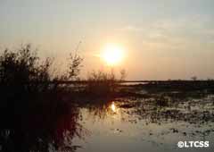 Iberá Wetlands