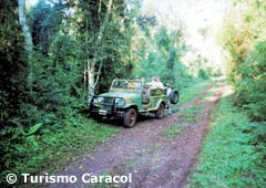 Safari al Salto Escondido