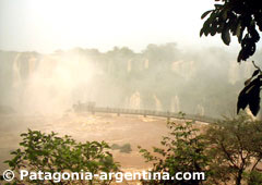 Waterfalls seen from the Brazilian Side