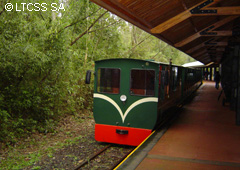 The Rainforest Ecological Train has a capacity of between 120 and 150 people