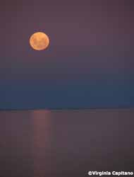 La luna sobre el mar de Las Grutas