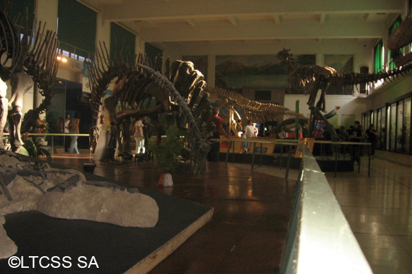 Museo Argentino de Ciencias Naturales Bernardino Rivadavia