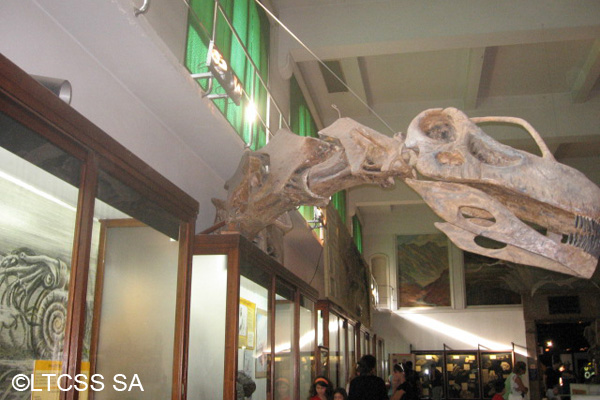 Bernardino Rivadavia Natural Science Museum
