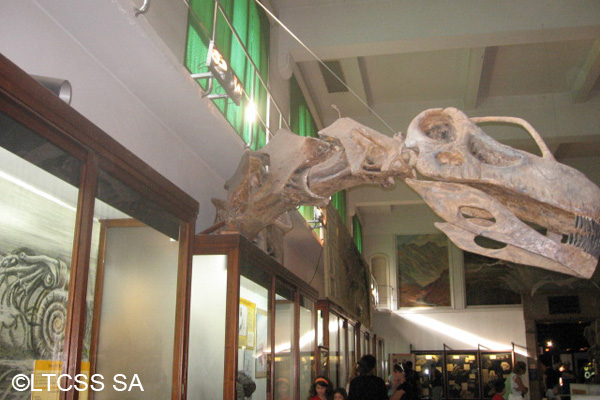 Museo Argentino de Ciencias Naturales Bernardino Rivadavia