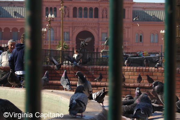 Atardecer en Plaza de mayo