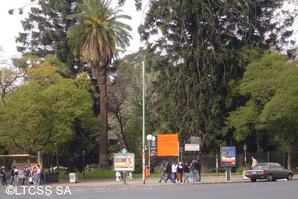 El Botánico, desde afuera