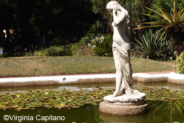 El Botánico, desde afuera